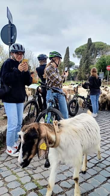 Rome: Appian Way, Aqueducts, & Catacombs E-Bike Guided Tour - Is the $86 price good value?
