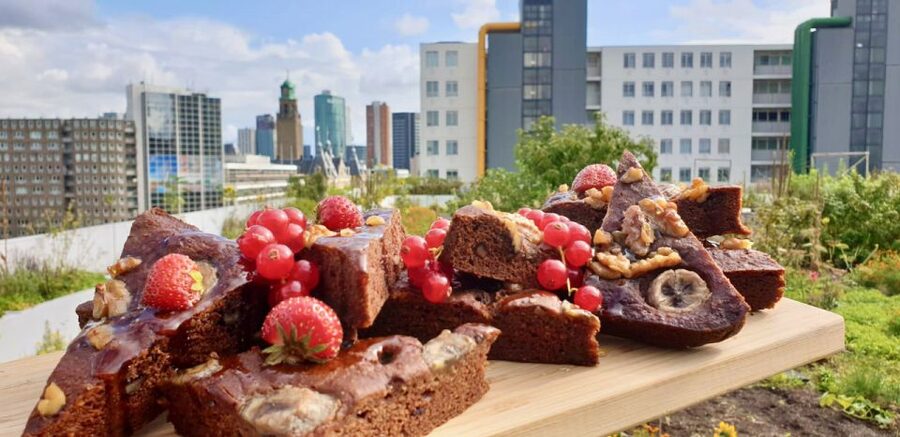 Rotterdam: Food Tour by Bike - Dutch classics first, with plenty of variety