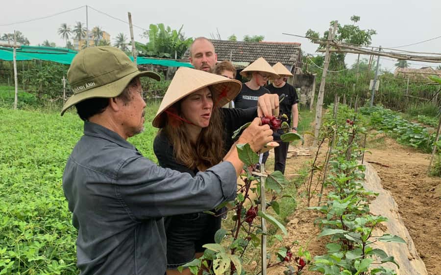 Rural Cycle, Market Tour, Basket Boat & Organic Farm Cooking - Why this four-hour Hoi An tour works so well