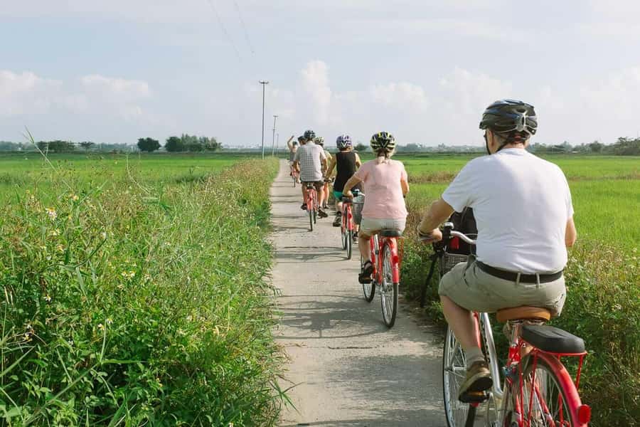 Rural Cycle, Market Tour, Basket Boat & Organic Farm Cooking - Is $34 good value?