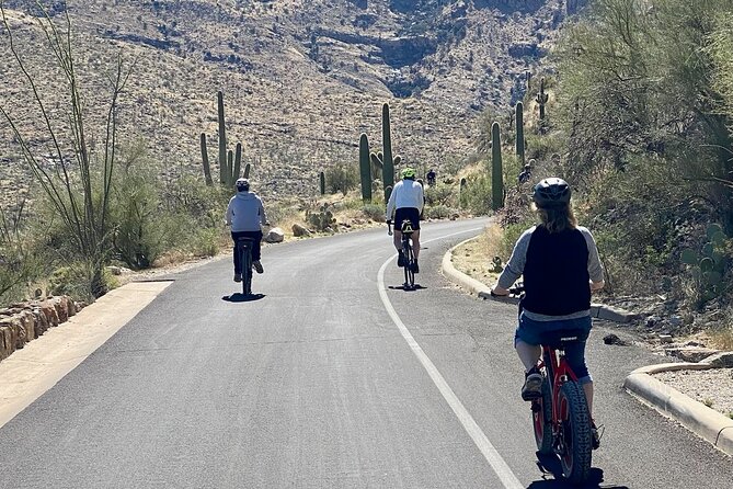 Saguaro National Park East E-Bike Tour - Why an e-bike works so well in Saguaro National Park East