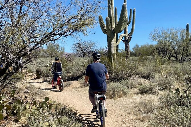 Saguaro National Park East E-Bike Tour - The visitor center stop and the desert lesson