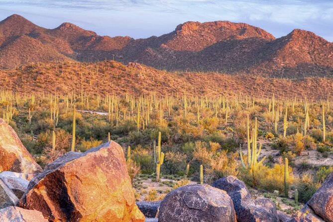 Saguaro National Park East E-Bike Tour - Safety, traffic, and one serious consideration