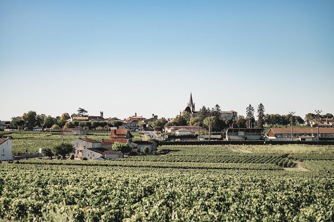 Saint-Emilion Electric Bike Day Tour with Wine Tastings & Lunch - What the $217.67 price really covers