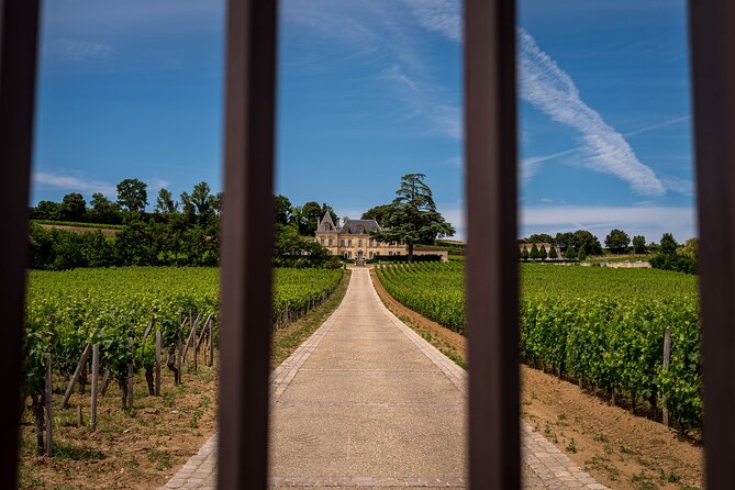 Saint-Émilion Wine Tour By Premium Electric Bike, Lunch Included - What the $201.14 price includes