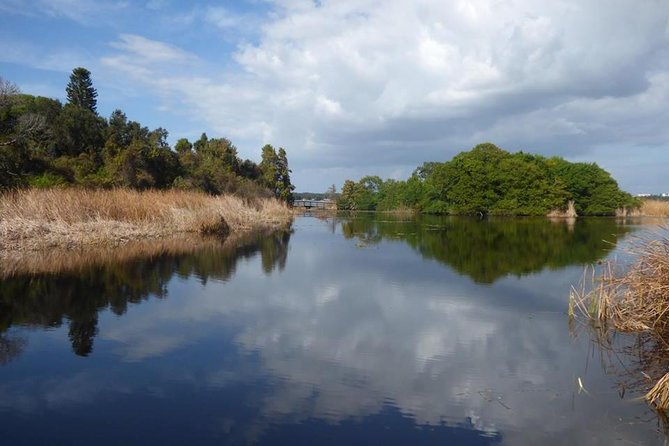 Saint Petersburg Preserve Bike Tour - Physical demands and what to bring