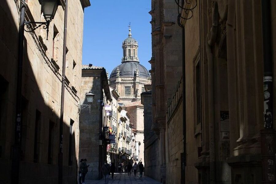 Salamanca: Guided Sightseeing Tour by Bicycle - Price, bicycle cost, and overall value