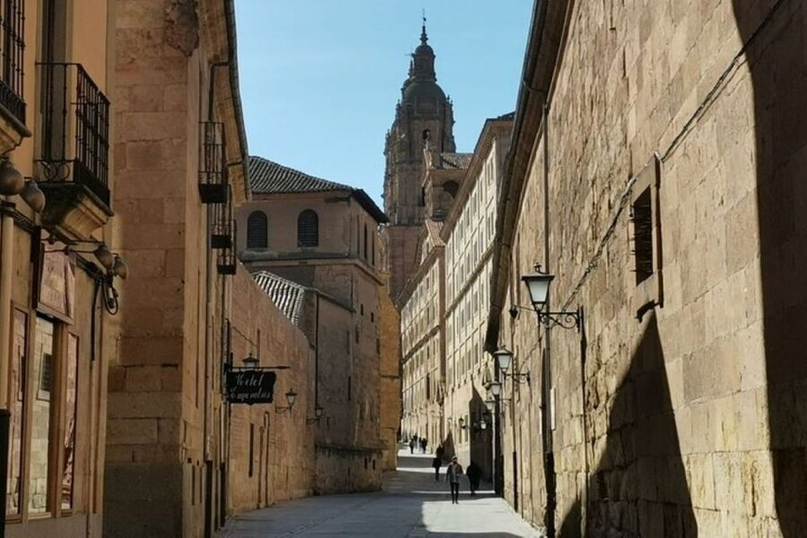 Salamanca: Guided Sightseeing Tour by Bicycle - Monterrey Palace and Salamanca’s golden stone