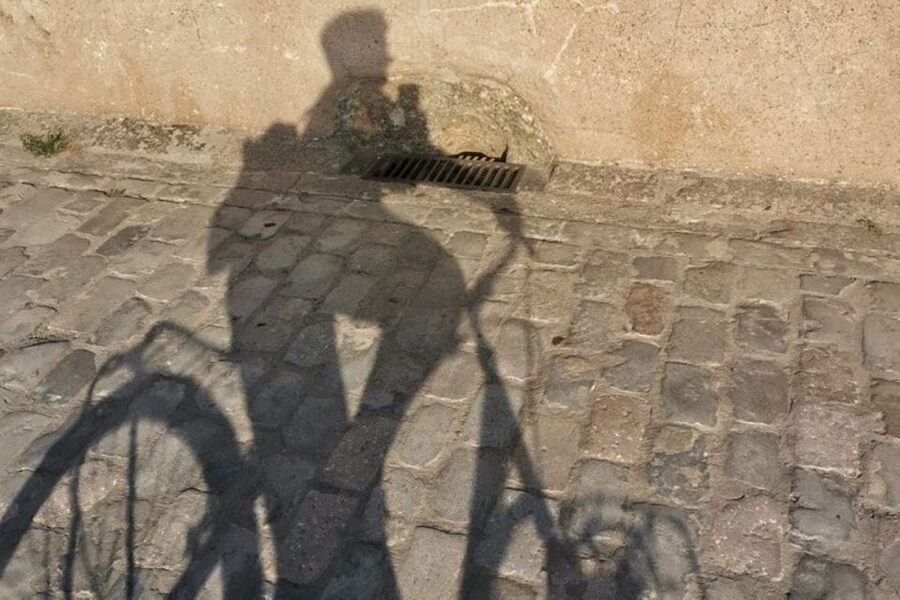 Salamanca: Guided Sightseeing Tour by Bicycle - University of Salamanca, the tour’s final major sight