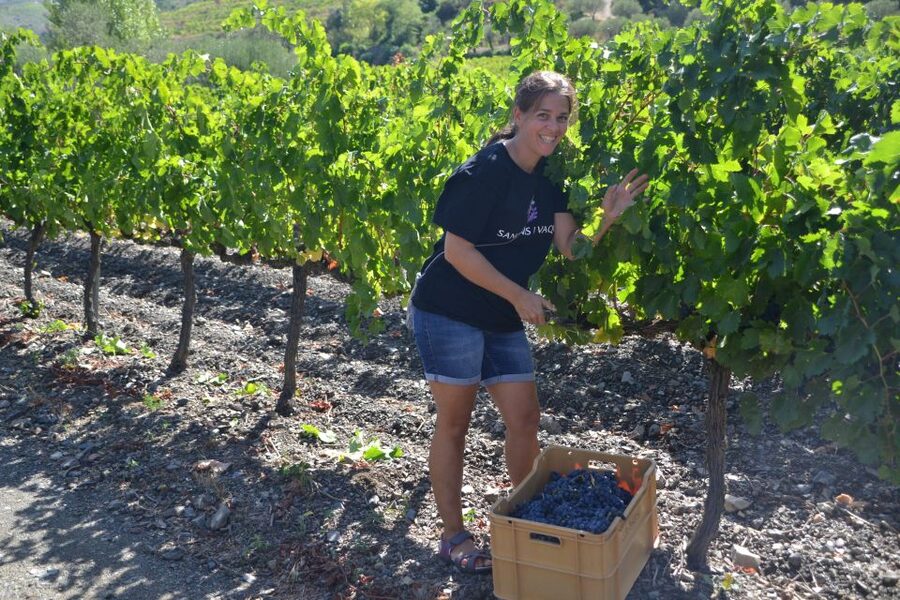 Salou: Easy Bike Tour with Wine Tasting - What the wine tasting includes