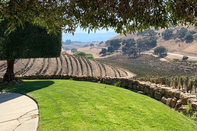 Santa Barbara Vineyard to Table Taste Tour by E-Bike - Rancho Olivos brings an olive-oil tasting