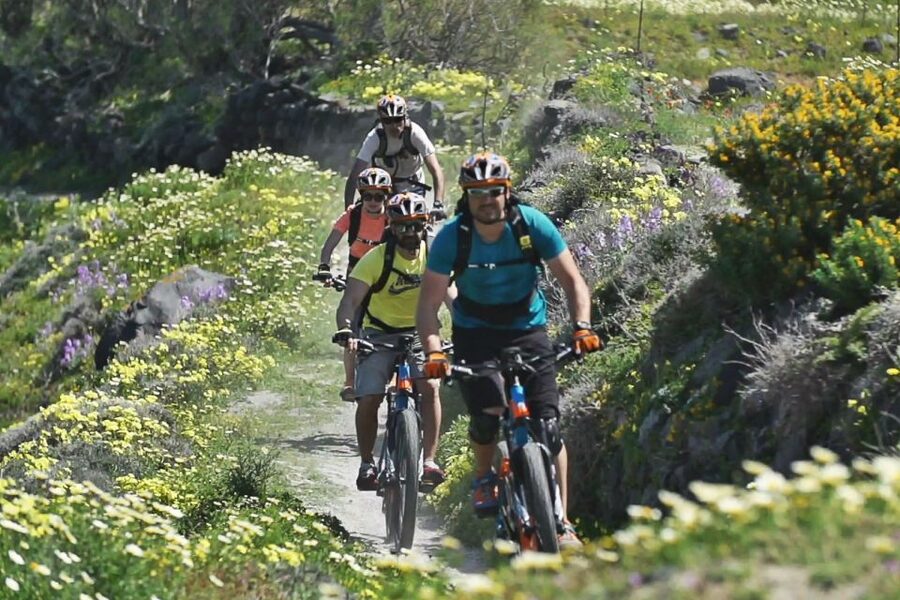 Santorini: Electric Mountain Bike Adventure - Megalochori, vineyards, and a proper food stop