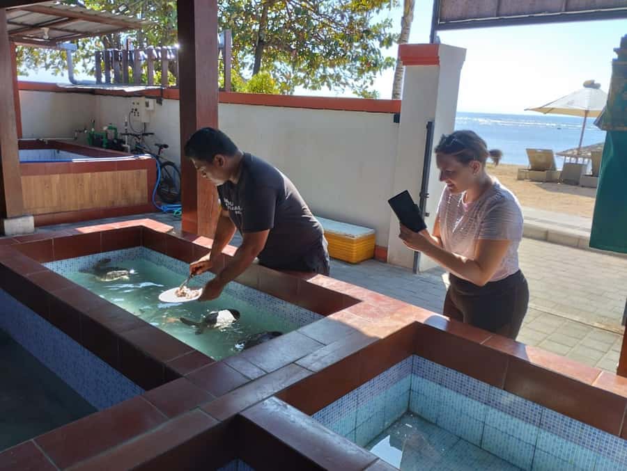 Sanur Village E-bike Tour: Family-Friendly Adventure - What the guides add to the morning