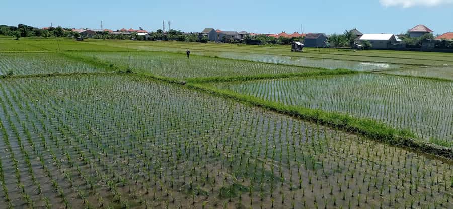 Sanur Village E-bike Tour: Family-Friendly Adventure - How hard is the cycling?