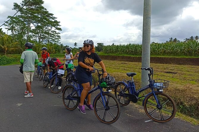 Sanur Village E-bike Tour: Family-Friendly Adventure - Starting in central Sanur with a short safety briefing