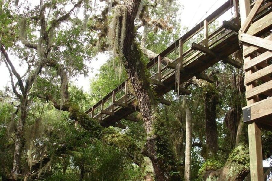 Sarasota: Myakka State Park E-bike Safari Experience - Wildlife across wetlands and prairies