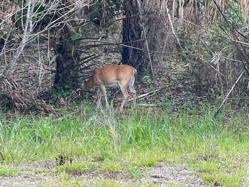 Sarasota: Myakka State Park E-bike Safari Experience - Guides who shape the experience
