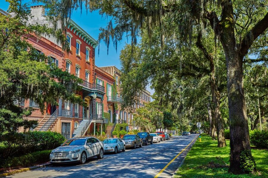 Savannah: History, Culture, & Scenic Views E-Bike Tour - Savannah’s oak trees and urban greenery