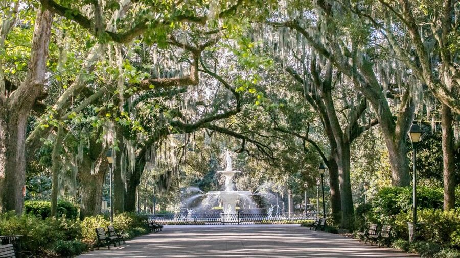 Savannah: History, Culture, & Scenic Views E-Bike Tour - Riding through the historic district