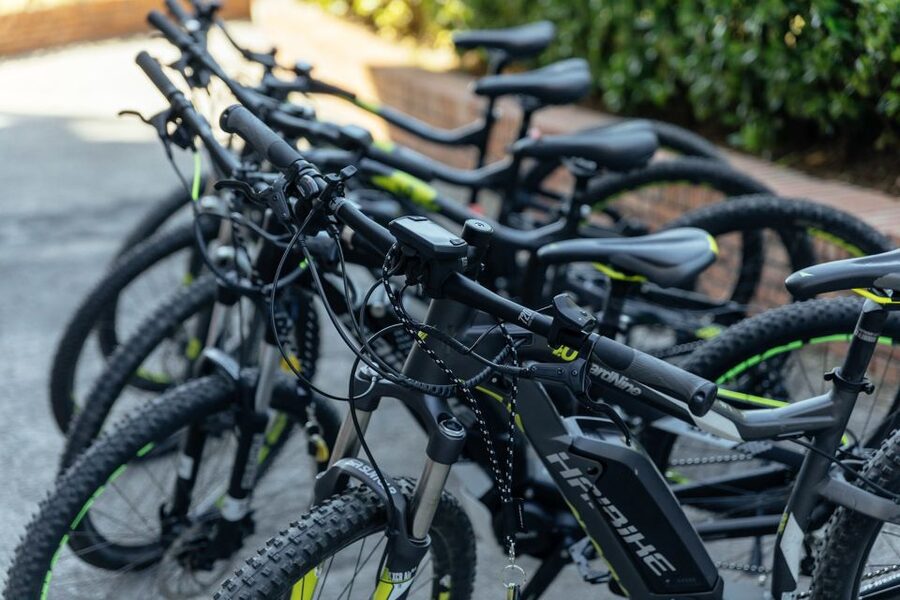Scenic E-Bike Ride with Vineyard Wine & Meal - From the waterfront to the Phlegrean Fields