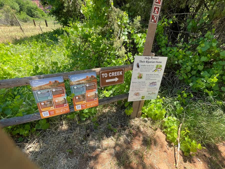 Sedona: Cathedral Rock Vortex E-Bike Tour - The road section: easy riding, but not traffic-free