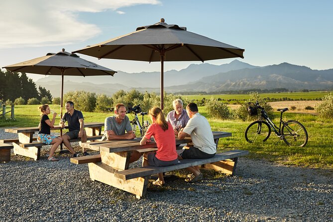Self-Guided Biking Wine Tour (full day) in the Marlborough Region. - Choosing wineries without wasting time