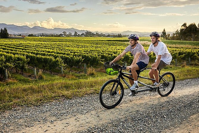 Self-Guided Biking Wine Tour (full day) in the Marlborough Region. - Safety, comfort, and group fit