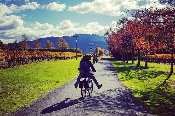 Self-Guided Wine Tours by Bike with Lorelle & Greg - Comfort, safety, and backup help