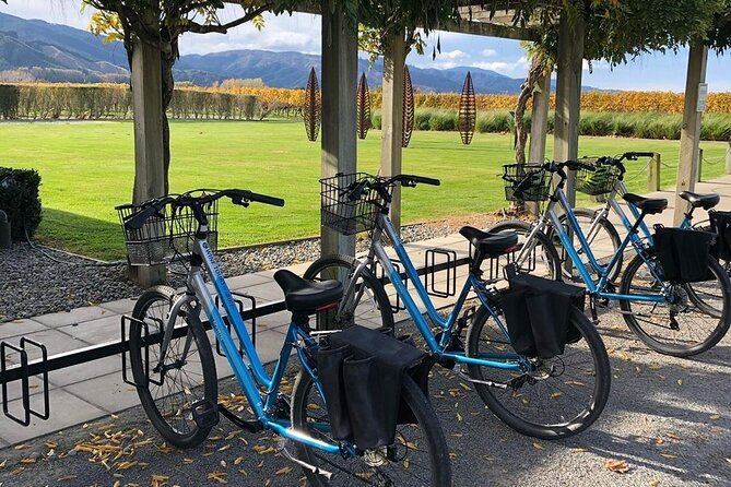 Self-Guided Wine Tours by Bike with Lorelle & Greg - Who will enjoy this outing most?