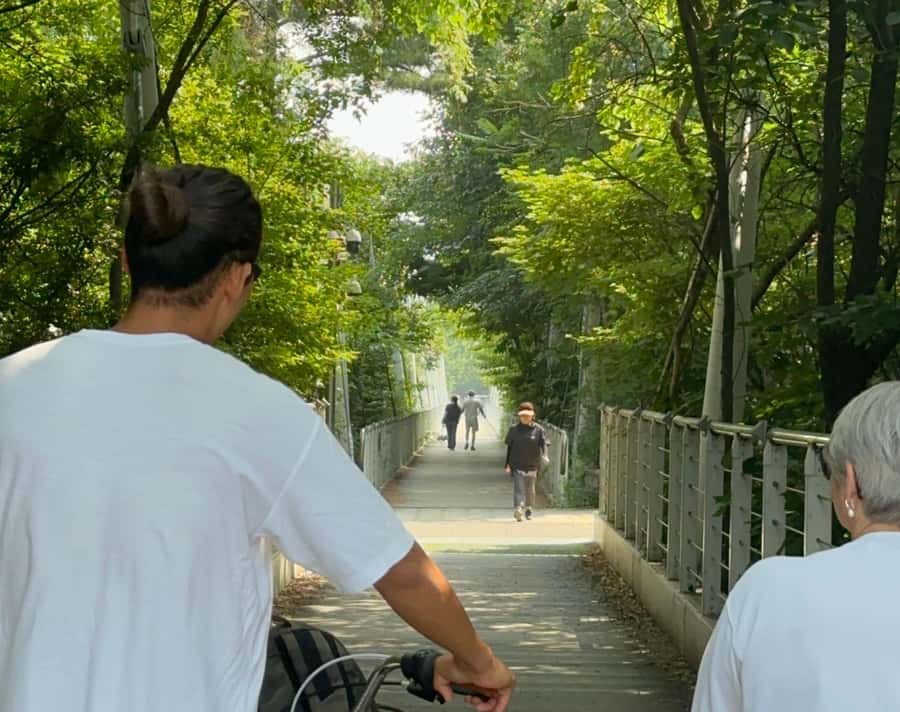 Seoul: Urban Nature Bike Tour along Han River - Starting beside the Han River at Jayang Station