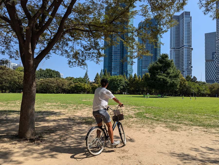 Seoul: Urban Nature Bike Tour along Han River - Who should book it