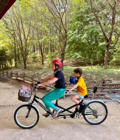Urban Nature Bike Tour along Han River