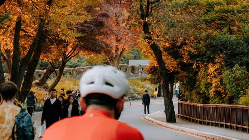 Seoul: Urban Nature Bike Tour along Han River - Koa’s guiding style