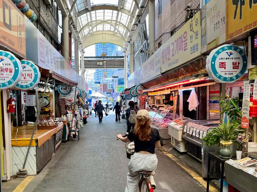 Seoul: Urban Nature Bike Tour along Han River - What the $50 price gives you
