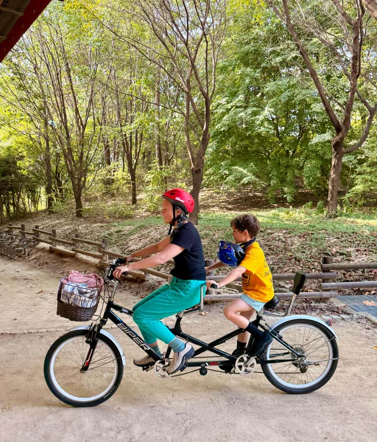 Seoul: Urban Nature Bike Tour along Han River - Seoul Forest by bicycle