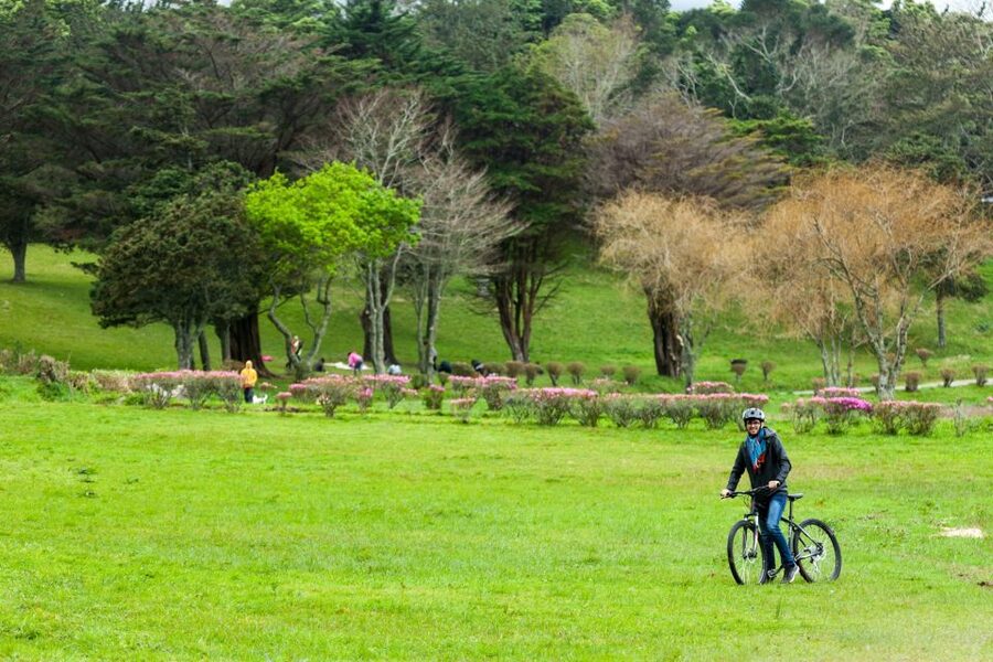 Sete Cidades: Kayaking and Biking Adventure - Practical booking advice