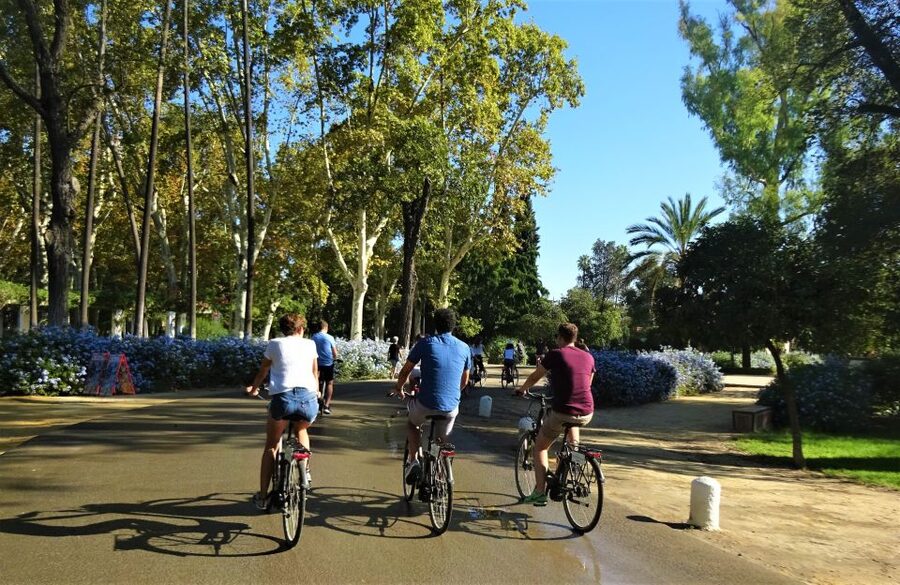 Seville: Electric Bike Tour in Small Group - Timing, cancellations, and useful preparation