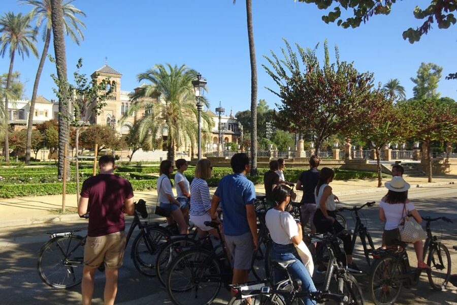 Seville: Electric Bike Tour in Small Group - Crossing Seville by bike in a small group