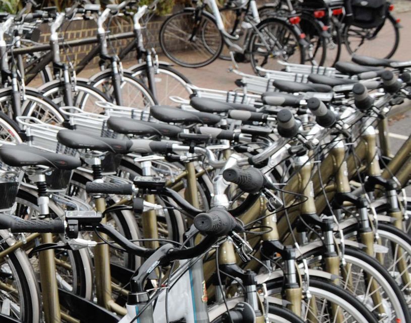 Seville: Guided Tour by Electric Bike - The Cathedral and Alcázar from the outside