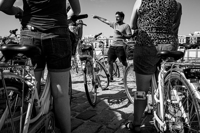 Seville Highlights Bike Tour (English) - The Alcázar and the Torre del Oro