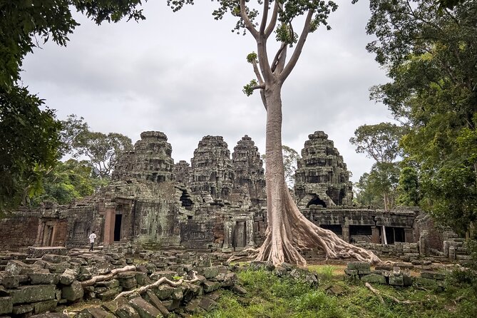 Siem Reap: Bike the Angkor Temples - Full-Day 30km Tour - Group size, guides, and the human side of the tour
