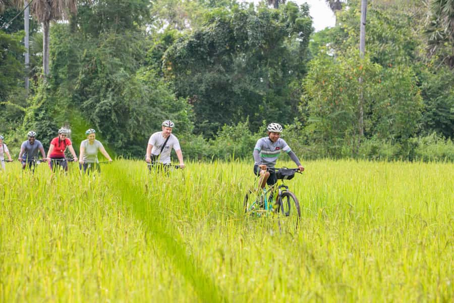 Siem Reap: Guided Countryside Bike Tour - Riding out through villages and rice fields