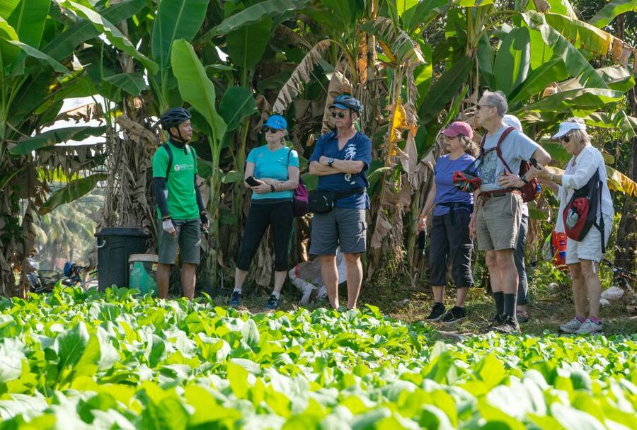 Siem Reap: Guided Countryside Bike Tour - A village market and the food of the countryside