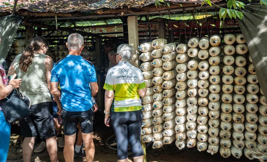 Siem Reap: Guided Countryside Bike Tour - What the $35 price really covers