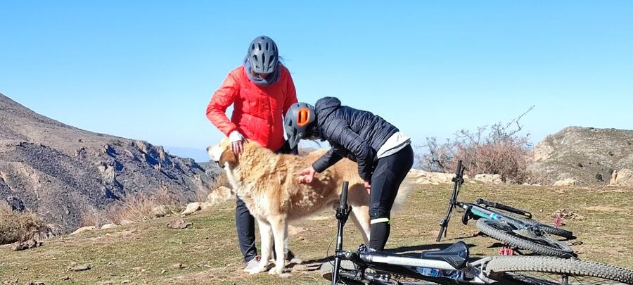 Sierra Nevada Small Group E-Bike Tour - Bikes, safety, and guide support