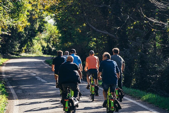 Small-group Amarone Wine e-Bike Tour from Verona - Riding through vineyards, olive trees, and country roads