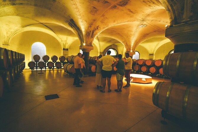 Small-group Amarone Wine e-Bike Tour from Verona - The winery visit and Valpolicella’s red wines