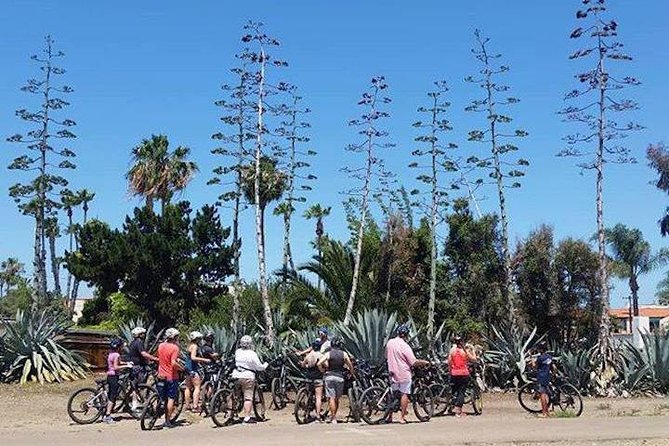 SoCal Riviera Electric Bike Tour of La Jolla and Mount Soledad - Guide quality and the small-group pace