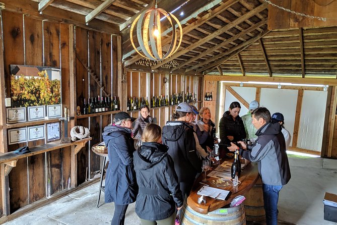 Sonoma Valley Pedal Assist Bike Tour with Lunch - Picnic lunch served at a winery