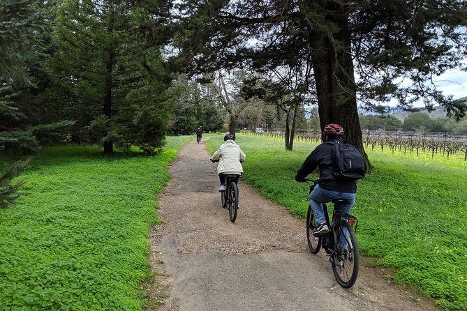 Sonoma Valley Pedal Assist Bike Tour with Lunch - Vella Cheese Company, a welcome change of pace